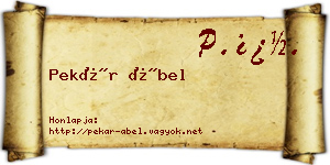 Pekár Ábel névjegykártya